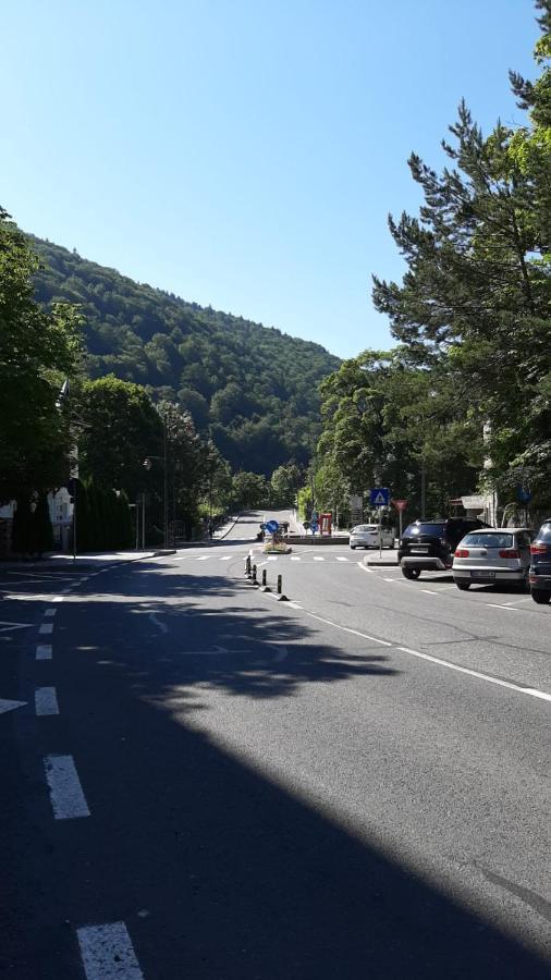 Monik apartament Sinaia Bagian luar foto