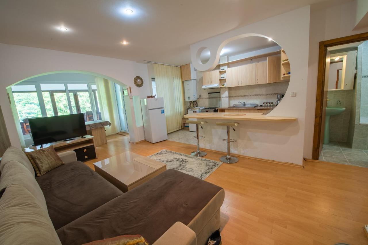 Monik apartament Sinaia Bagian luar foto