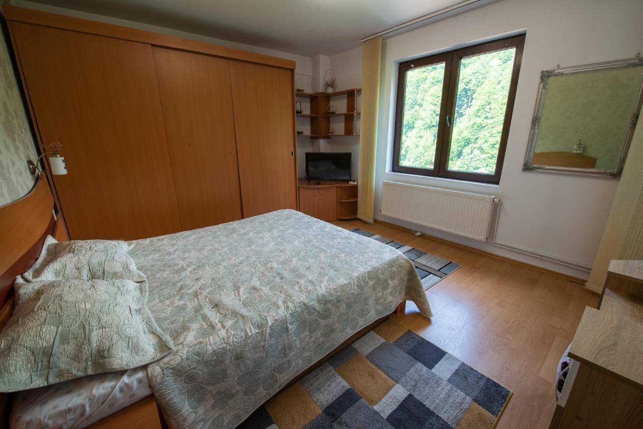 Monik apartament Sinaia Bagian luar foto