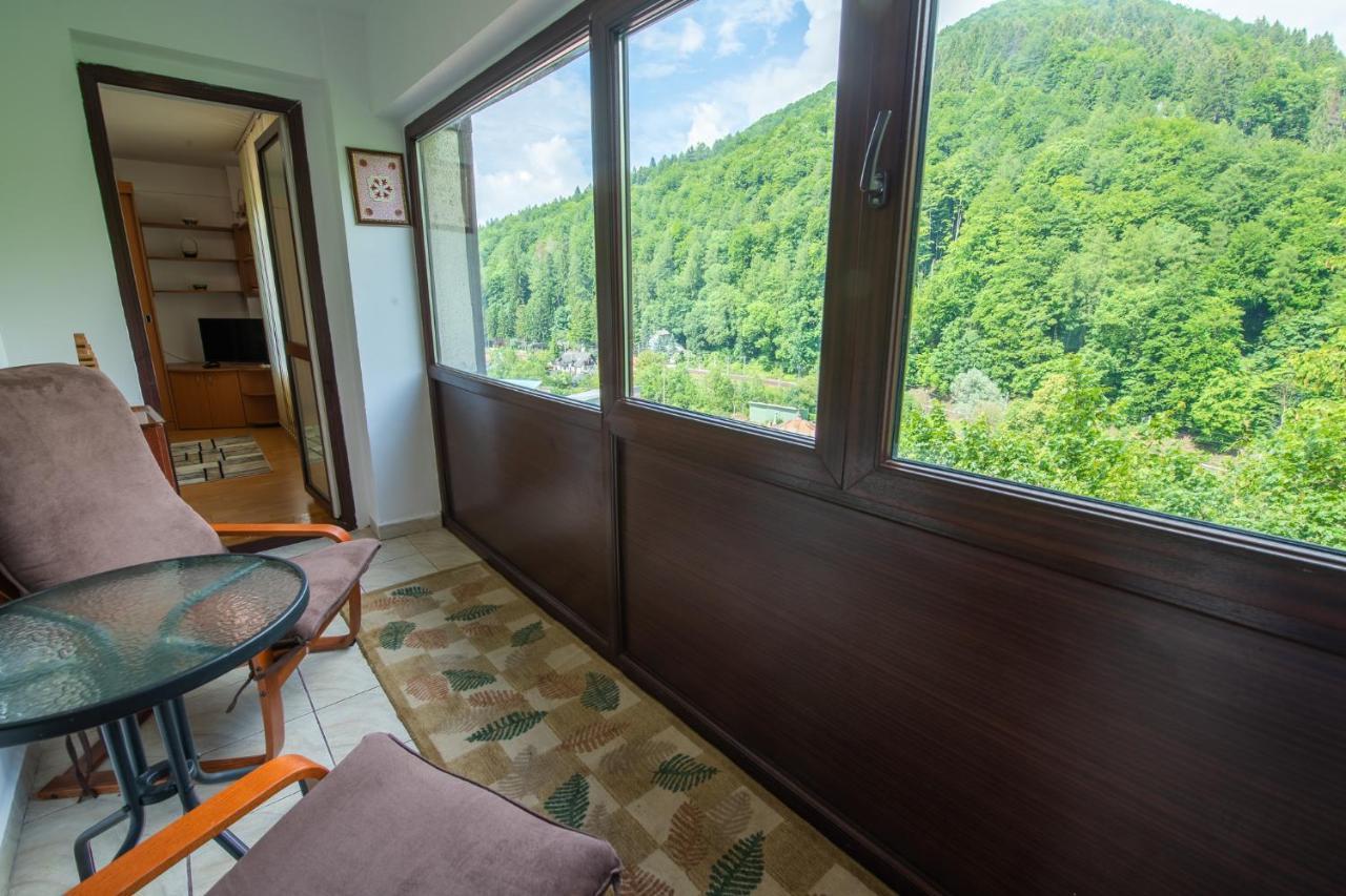 Monik apartament Sinaia Bagian luar foto