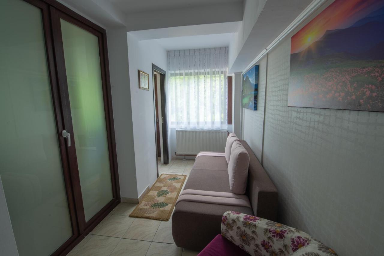 Monik apartament Sinaia Bagian luar foto