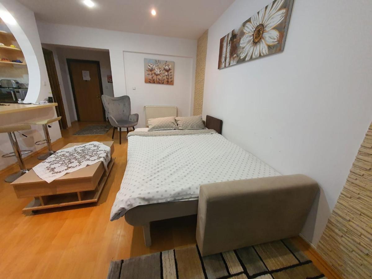 Monik apartament Sinaia Bagian luar foto